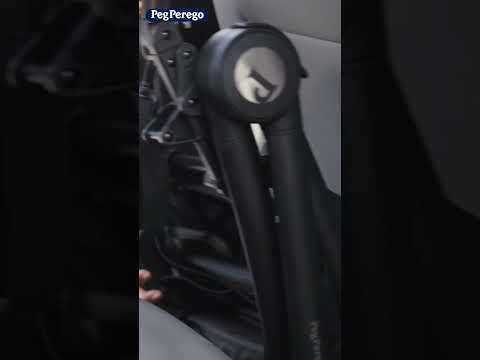 Peg Perego City Loop & Primo Viaggio Lounge True Black