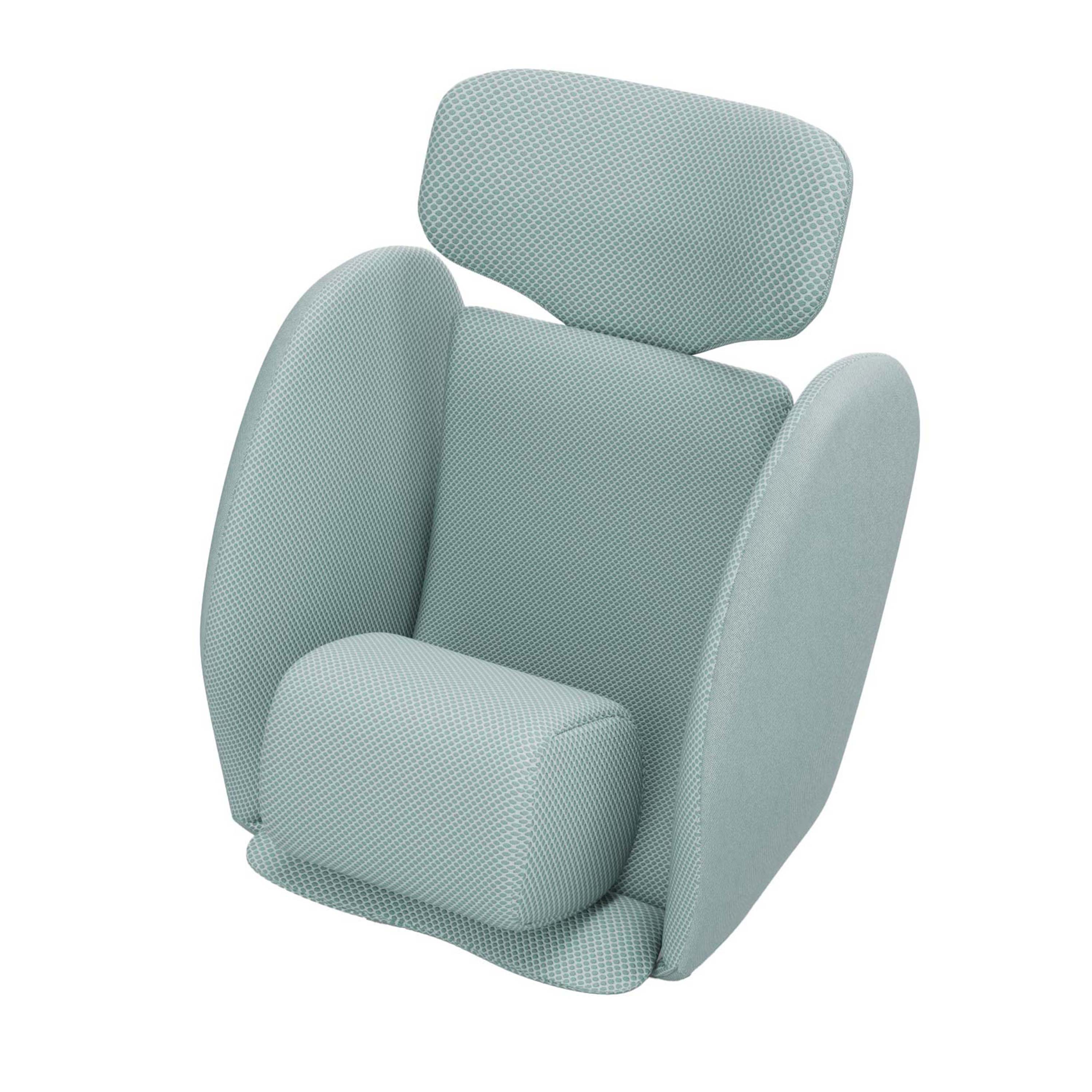 Avionaut Stardust Newborn Insert – Mint