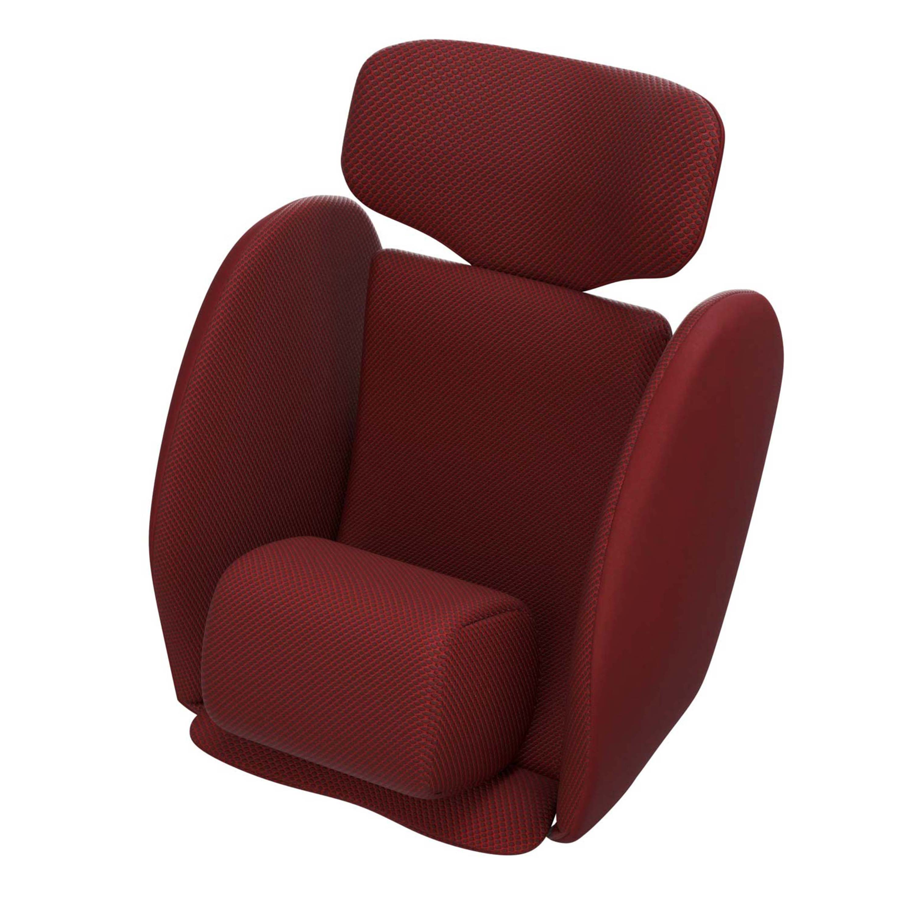 Avionaut Stardust Newborn Insert – Red